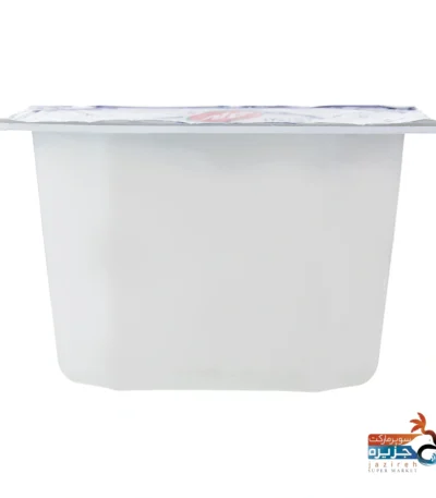 پنیر خامه ای 100گرمی