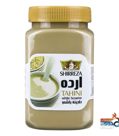 ارده شیر رضا