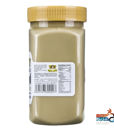 ارده شیر رضا