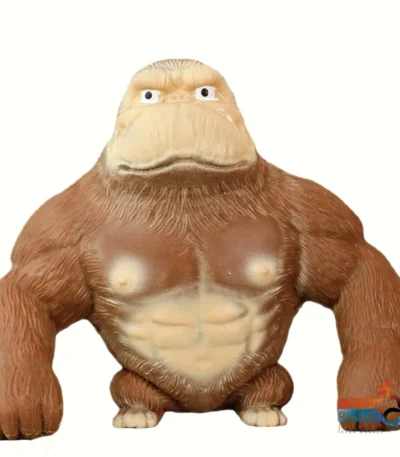 اسکوئیشی میمون