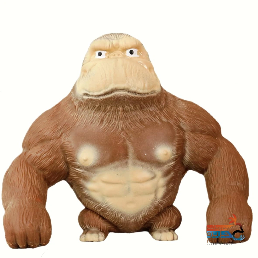 image_1761584296_6596 اسکوئیشی میمون